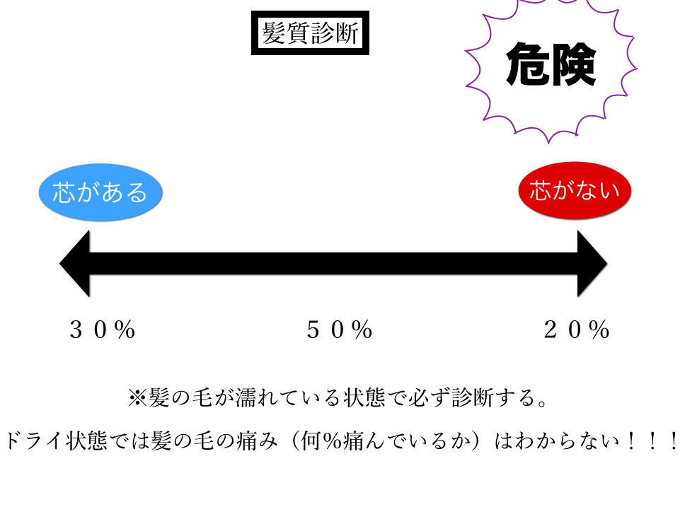 髪質診断