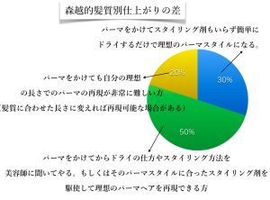 パーマの仕上がりの差、髪質診断グラフ