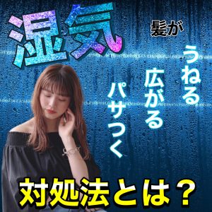 湿気 髪