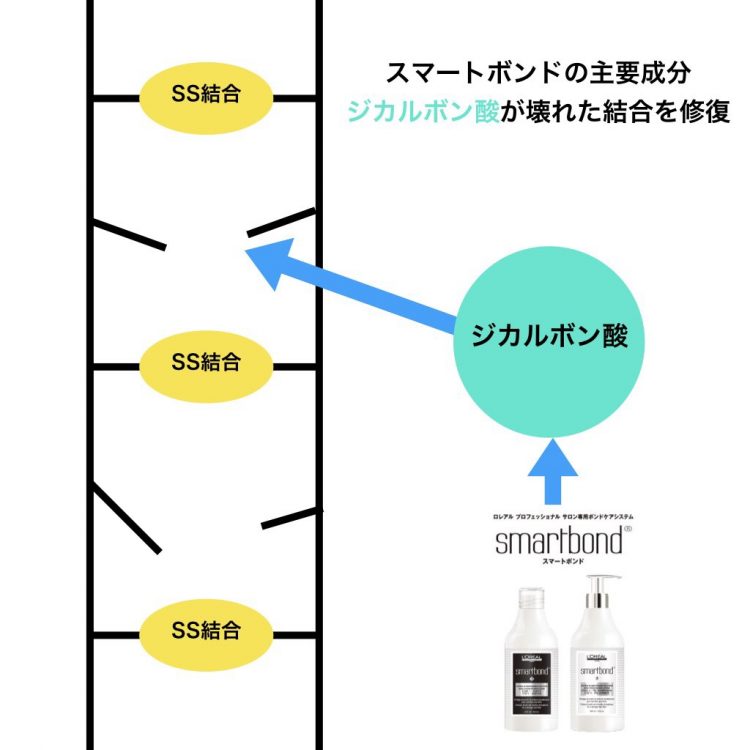 ロレアル スマートボンドキット L'OREAL スマートボンド | 株式会社ガモウ（GAMO）｜最高の美をもたらす