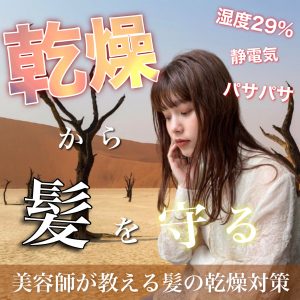 髪 乾燥