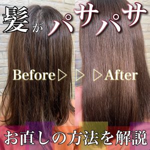 くせ毛 パサパサ