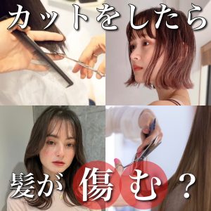 カット 髪が傷む